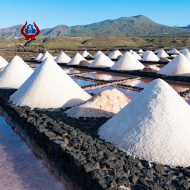 Qualité Poudre CMC épaississeur de cellulose de carboxyméthyle de sodium de qualité minière usine