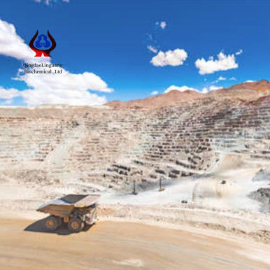 qualité Quick Dissolve White Powder CMC Mining Grade with Mill Finish for Industrial Mining Applications usine